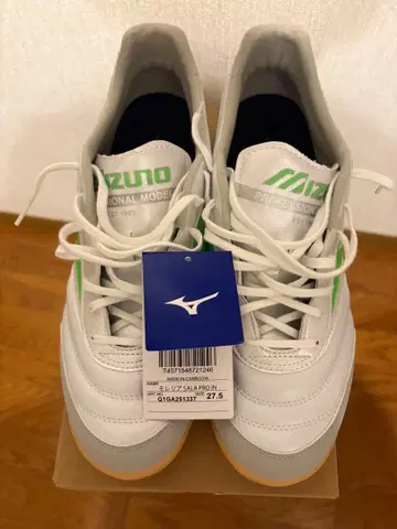 모렐리아 SALA PRO IN