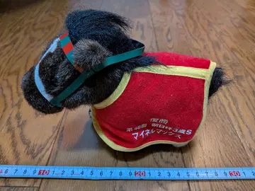 마이넬 맥스 48회 아사히배 3세 S 마장 ATANTI 경마