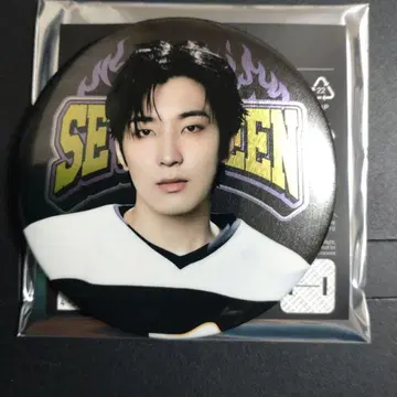 seventeen Home 원우 배지