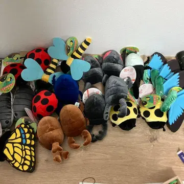 두근두근 숲 곤충 봉제 인형 묶음 판매 23개