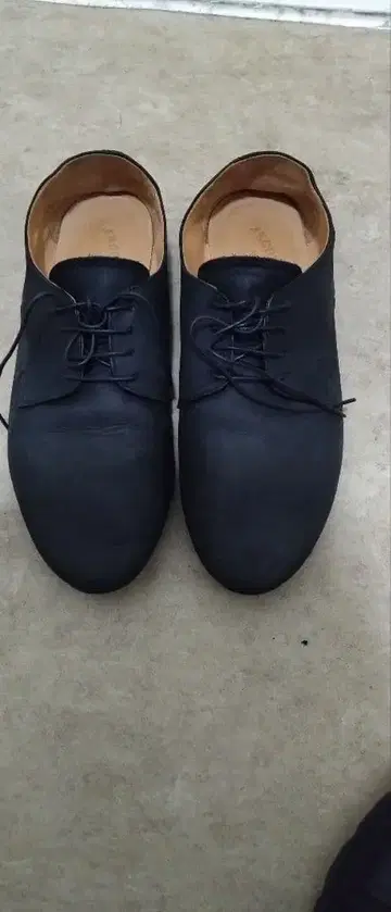 파드로네 더비 슈즈