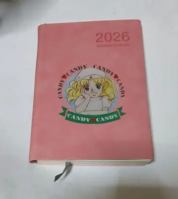 2026 스케줄러 캔디캔디 미사용 새상품