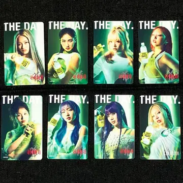 최신작 HANA x 바디멘테 전 8종 컴플리트 세트