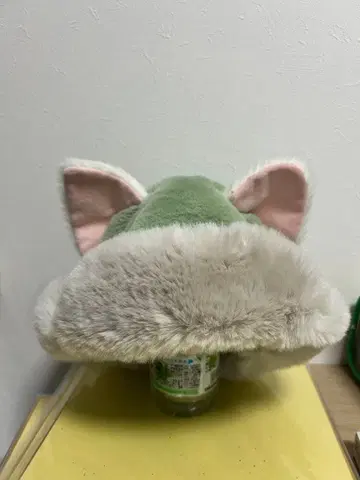 젤라토니 팬캡 모자