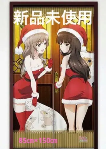 [새상품] 걸즈 & 판처 최종장 노렌 (시호 & 치요 / 산타)