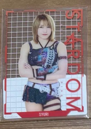 STARDOM 스타덤 아카리 클리어 카드 DMM 온라인 크레인 게임