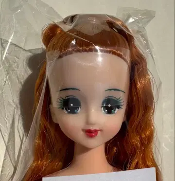 마린 제니 친구 즐거운 인형 리카짱 타마키 시온