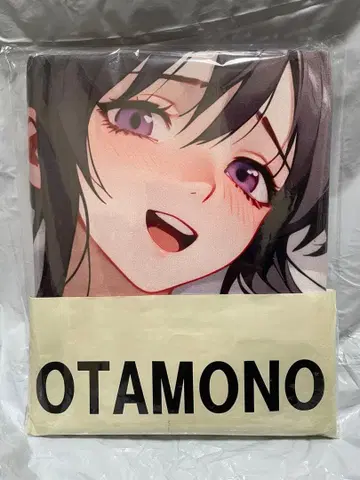 22466 거 하이스크 히메지마 아키노