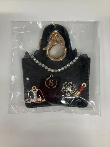 비즈 장식 미니 백형 키링