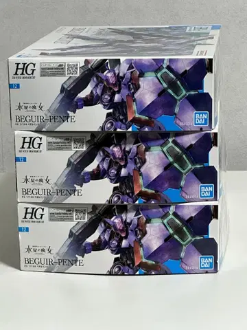 HG BEGUR-PENTE 3개 세트
