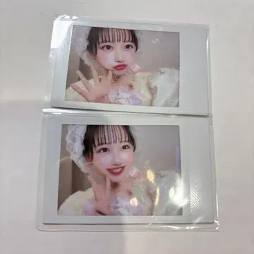 [새상품] 마츠모토 카렌 생탄 폴라로이드 병아리 의상