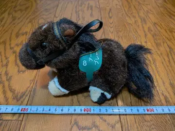 브레이브 텐더 6회 알링턴 C ATANTI 3S 사이즈 경마