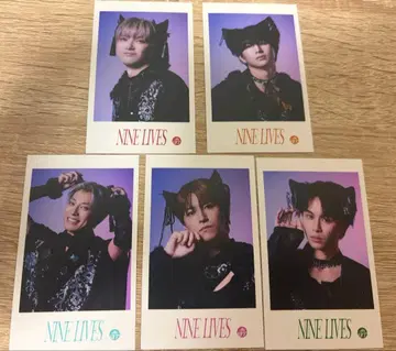 초특급 NINE LIVES 미니 사진 세트 5매