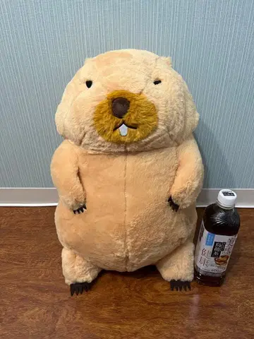 마모트의 모토토모아 울트라 BIG 봉제 인형 보바군