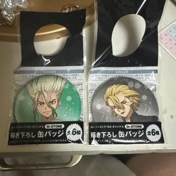 Dr.STONE 캔뱃지 2종 세트 센쿠 스탠리