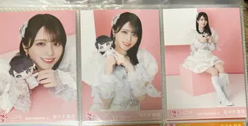 사사키 마이카 모리 판타지3 콜라보 컴프