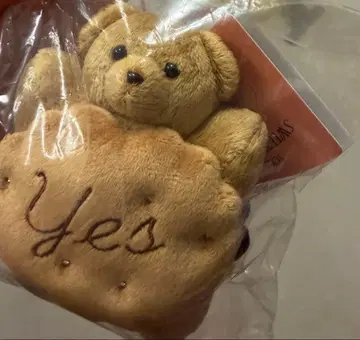 노 레이즌 샌드위치 메일리 파라