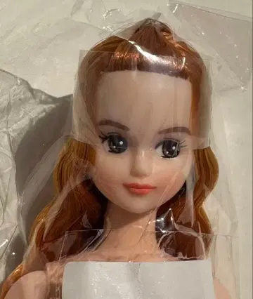 키사라 27BD 제니 프렌드 오타노시미 인형 리카짱 캐슬