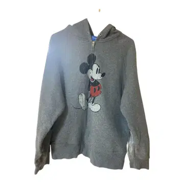 디즈니 후드티