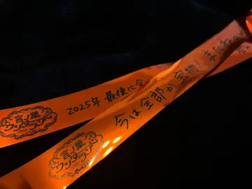 리이나 군 코토바 원더랜드 일본 무도관 & 고베 월드 기념 홀 2개 세트