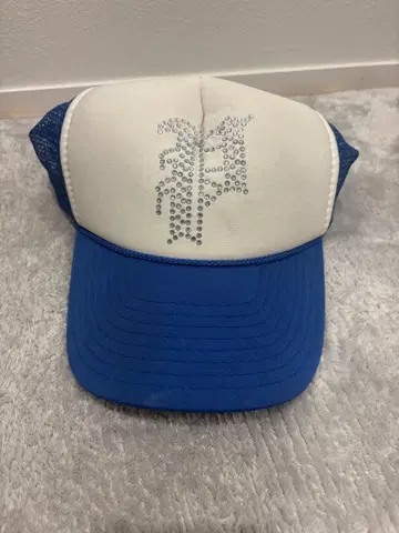 phatrnk 팻랭크 캡