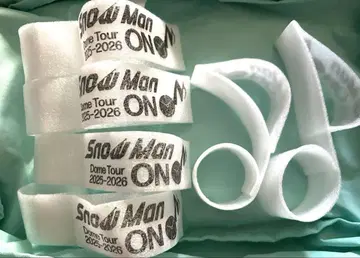 Snowman Live Tour ON 낙하물 음표