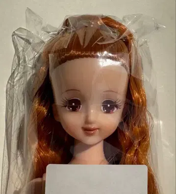 초대 제니 27BD 오타노시미 인형 리카짱 캐슬 시온 나나코