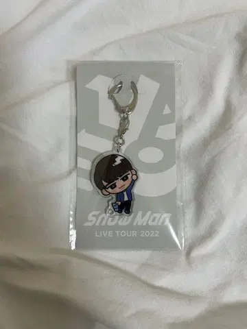 Snow Man LIVE TOUR 2022 LABO 와타나베 쇼타 키링