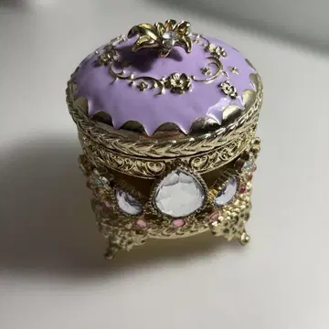 라푼젤 액세서리 케이스