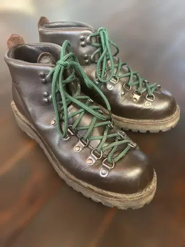 Danner 마운틴 라이트 다크 브라운