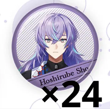 니지산지 호시미치 쇼 캔뱃지