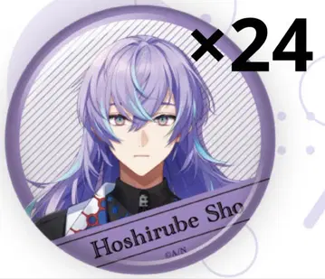 니지산지 호시미치 쇼 welcome 캔뱃지 24개