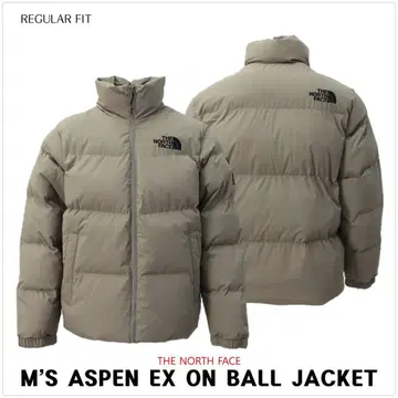 THE NORTH FACE 다운 자켓