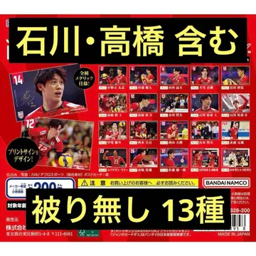 [ 새상품 ] 배구 남자 일본 대표 엽서 컬렉션 13종 세트