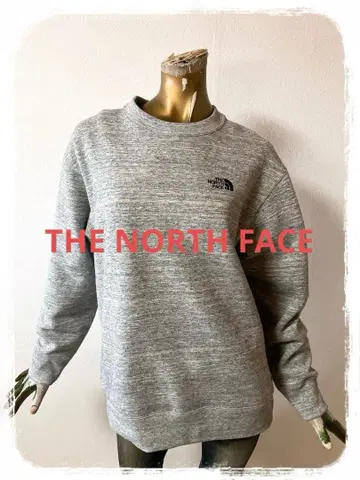 T20202 THE NORTH FACE 맨투맨 트레이닝복 M