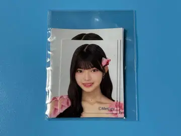 HKT48 후지노 코하 증명사진풍 스티커 세트 미개봉