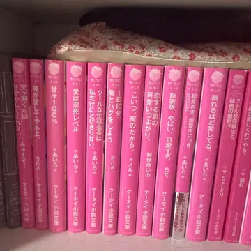 휴대폰 소설 문고 세트 연애 소설