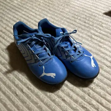 Puma 트레이닝 슈즈 파랑