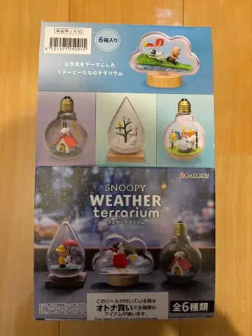 스누피 웨더 테라리움 전 6종