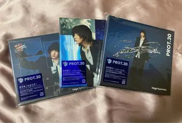 쿄모토 타이가 ART-PUT PROT.30 삼형태 세트