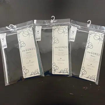 theGUNZE V넥 티셔츠 M 사이즈 3세트