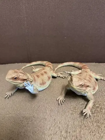 [배송비 포함] 1번 복권 2세트