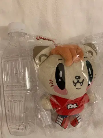 제 고양이 봉제 인형 시라하마 아란