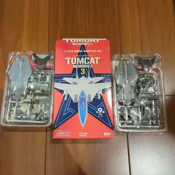 TOMCAT MEMORIES 3 1/144