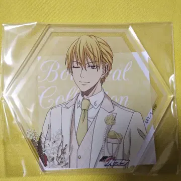 쿠로코의 농구 키세 료타 아크릴 코스터 Botanical 컬렉션