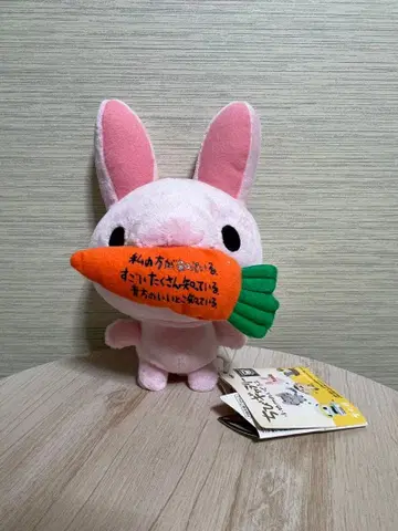 헤이세이 레트로 치비 갤러리 토끼 잡화 포함 봉제 인형