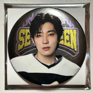 SEVENTEEN HOME 2025 캔뱃지 원우 5