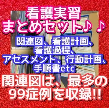 USB 간호학과 학생 실습 관련도 간호 계획 헨더슨 사정 고든