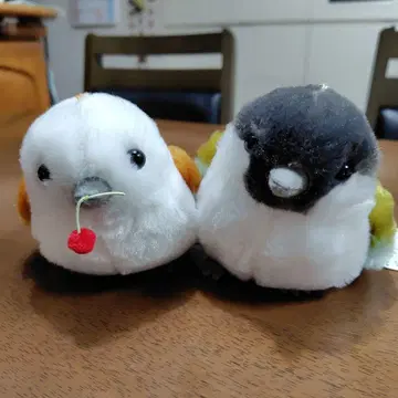 시마연가 봉제 인형 2개 세트