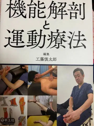 기능 해부와 운동 치료